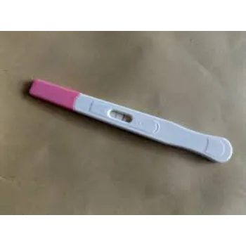  Pregnency Test